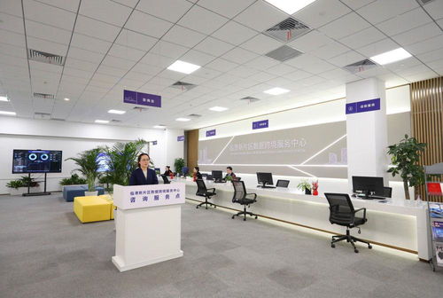 镜观回响 从一个区，看长三角更高水平开放下的贸易咨询服务